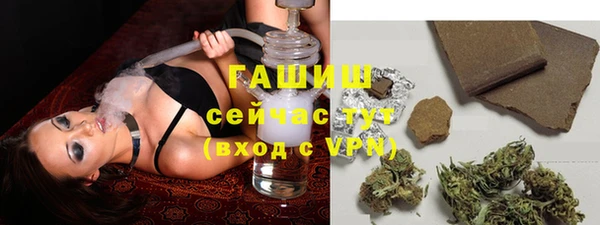 дмт Бородино