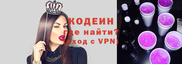 шишки Верея