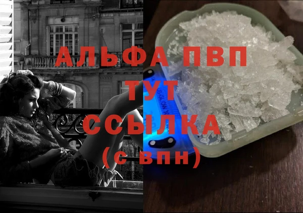 дмт Бородино