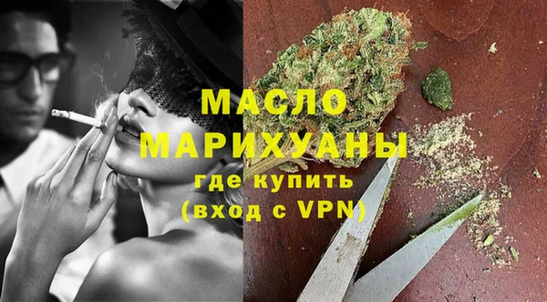 дмт Бородино