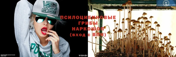 дмт Бородино