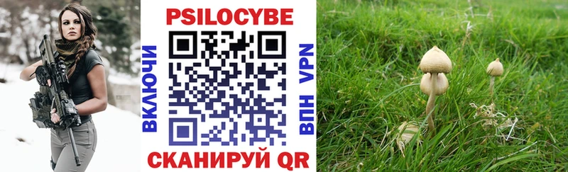 Псилоцибиновые грибы MAGIC MUSHROOMS blacksprut онион Старица
