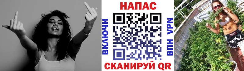 где найти наркотики  Старица  Канабис VHQ 